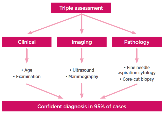 Investigation of Breast Tumors