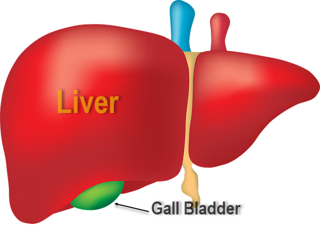 liver diseases can occur for variety of reasons