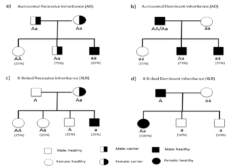 Mendelian-modes-of-genetic inheritance-